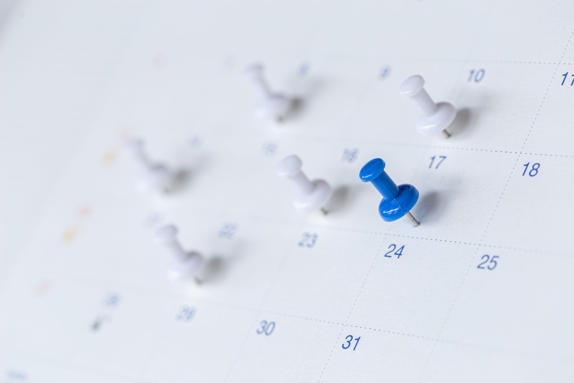 Planner and organizer to plan and reminder daily appointment, meeting agenda, schedule, timetable, and management, event , holiday .
