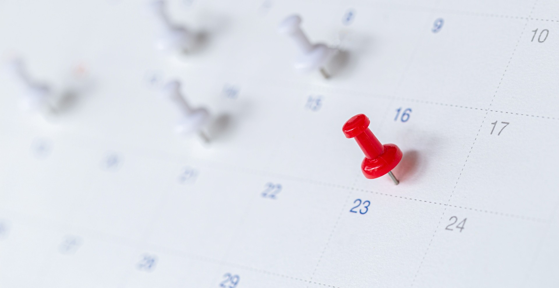 Planner and organizer to plan and reminder daily appointment, meeting agenda, schedule, timetable, and management, event , holiday .